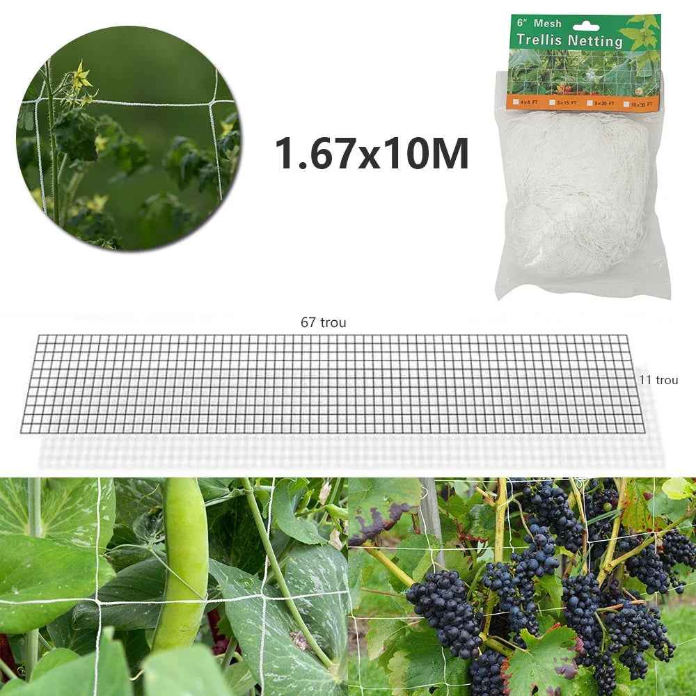 10 m Kletternetz für Gartenpflanzen