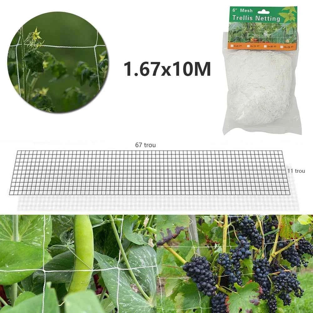 10 m Kletternetz für Gartenpflanzen