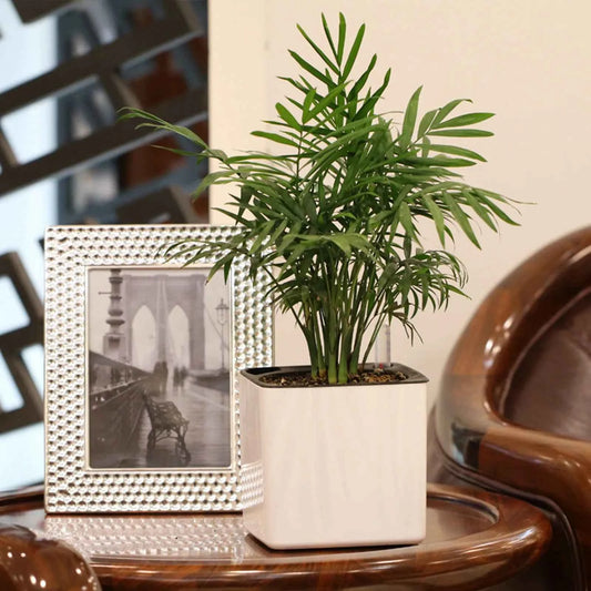 Moderner, selbstbewässernder Blumentopf mit Wasserstandsanzeige