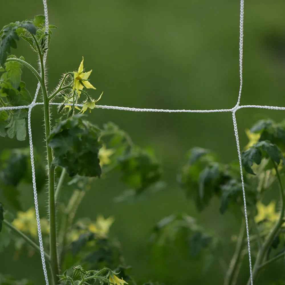 10 m Kletternetz für Gartenpflanzen