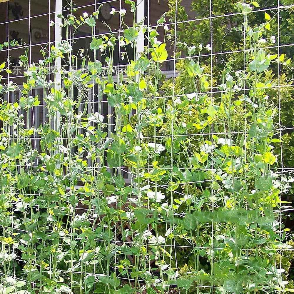10 m Kletternetz für Gartenpflanzen