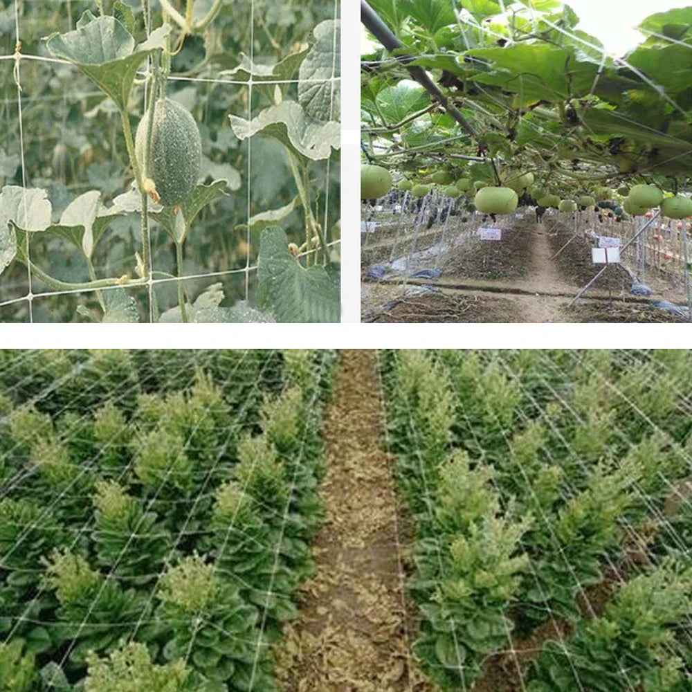 10 m Kletternetz für Gartenpflanzen