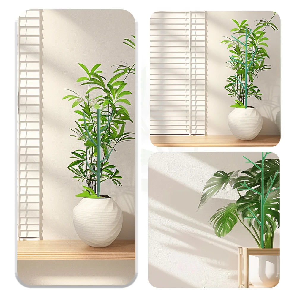 Pflanzenstützpfähle 70cm - Natürliche Kletterhilfe für Zimmerpflanzen