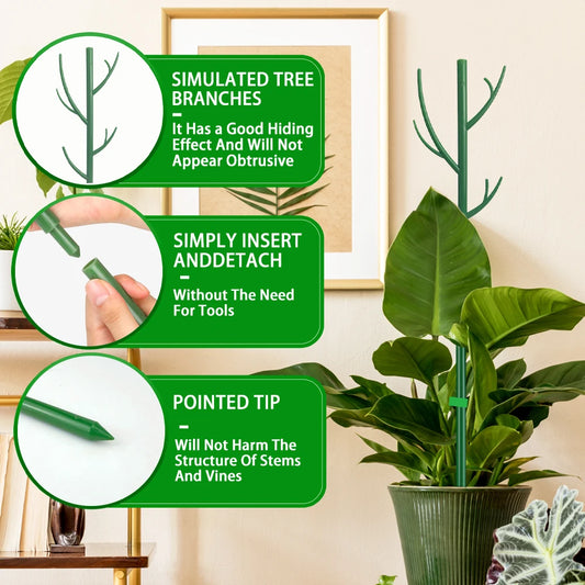 Pflanzenstützpfähle 70cm - Natürliche Kletterhilfe für Zimmerpflanzen