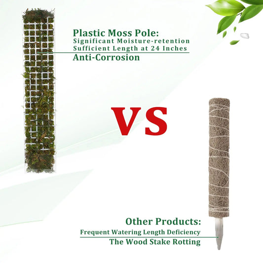 Premium Moos-Stab - Perfekte Kletterhilfe für Monstera & Zimmerpflanzen