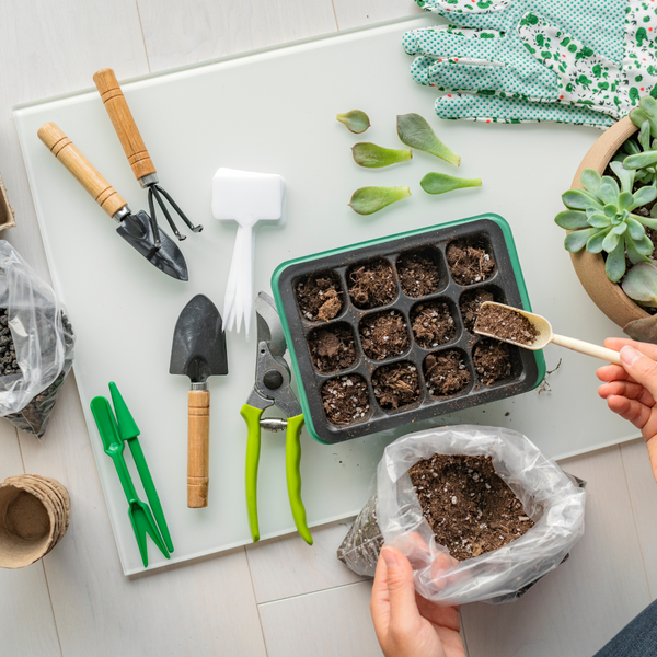 So richten Sie Ihr Little Farmers Starter Kit in 10 Minuten ein