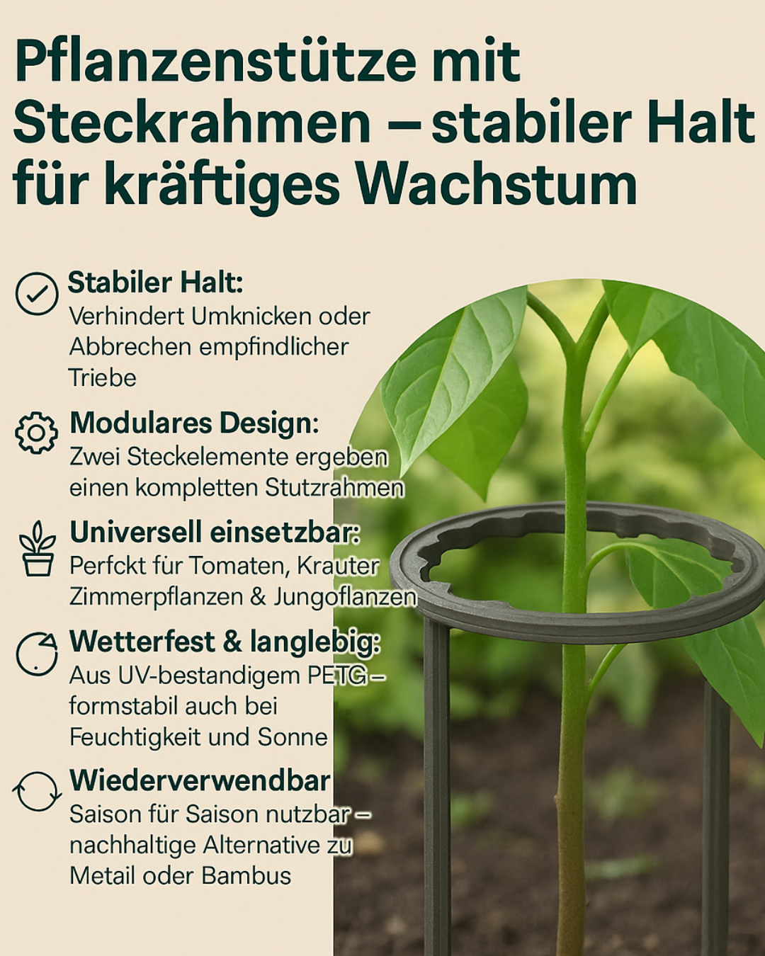 Pflanzenstütze mit Steckrahmen – stabiler Halt für kräftiges Wachstum 🌱