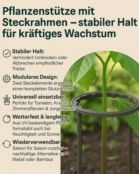 Pflanzenstütze mit Steckrahmen – stabiler Halt für kräftiges Wachstum 🌱