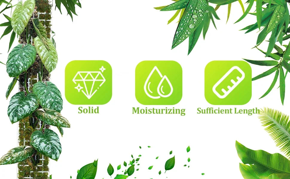 Premium Moos-Stab  - Perfekte Kletterhilfe für Monstera & Zimmerpflanzen