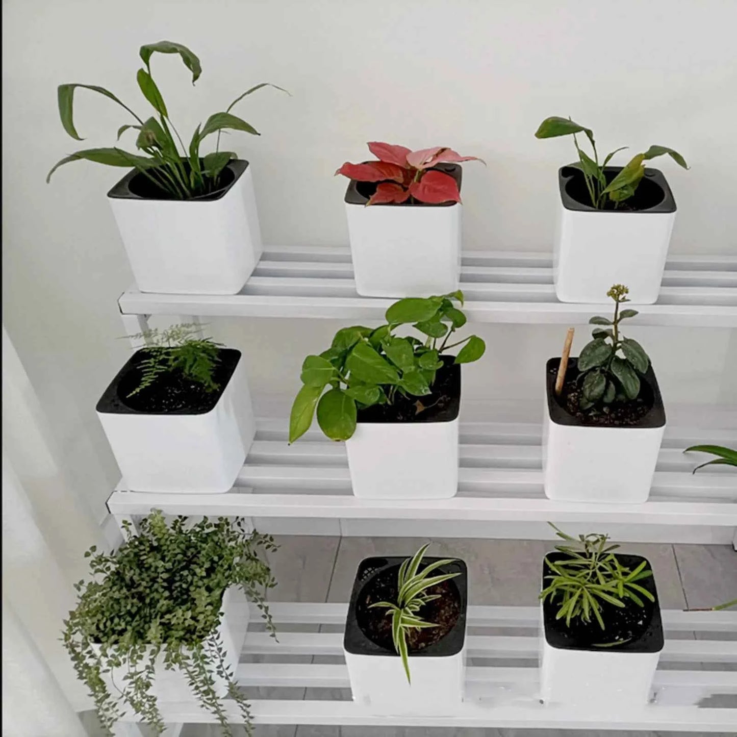 Moderner, selbstbewässernder Blumentopf mit Wasserstandsanzeige