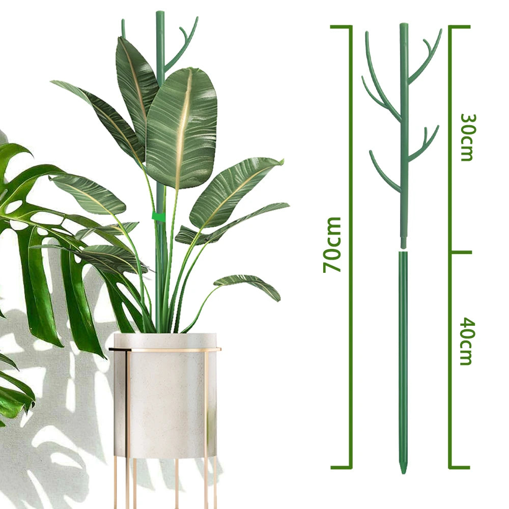 Pflanzenstützpfähle 70cm - Natürliche Kletterhilfe für Zimmerpflanzen