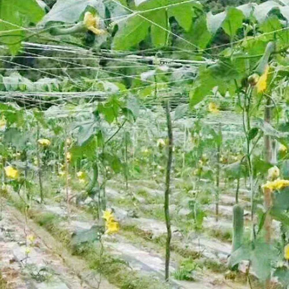 2m x 100m Garten-Kletternetz