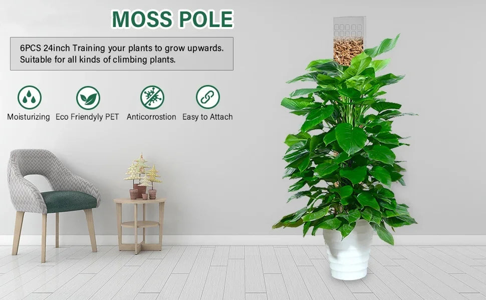 Premium Moos-Stab  - Perfekte Kletterhilfe für Monstera & Zimmerpflanzen