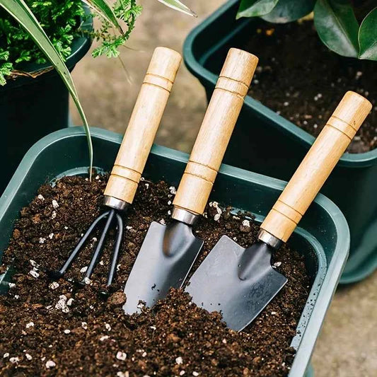 Mini-Gartenkit mit Rechen, Schaufel und Spaten