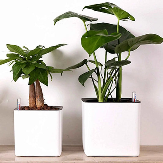 Moderner, selbstbewässernder Blumentopf mit Wasserstandsanzeige