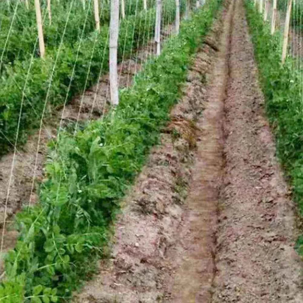 2m x 100m Garten-Kletternetz