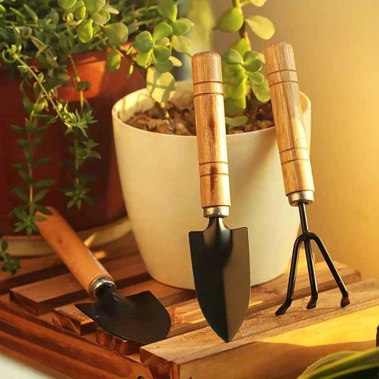 Mini-Gartenkit mit Rechen, Schaufel und Spaten