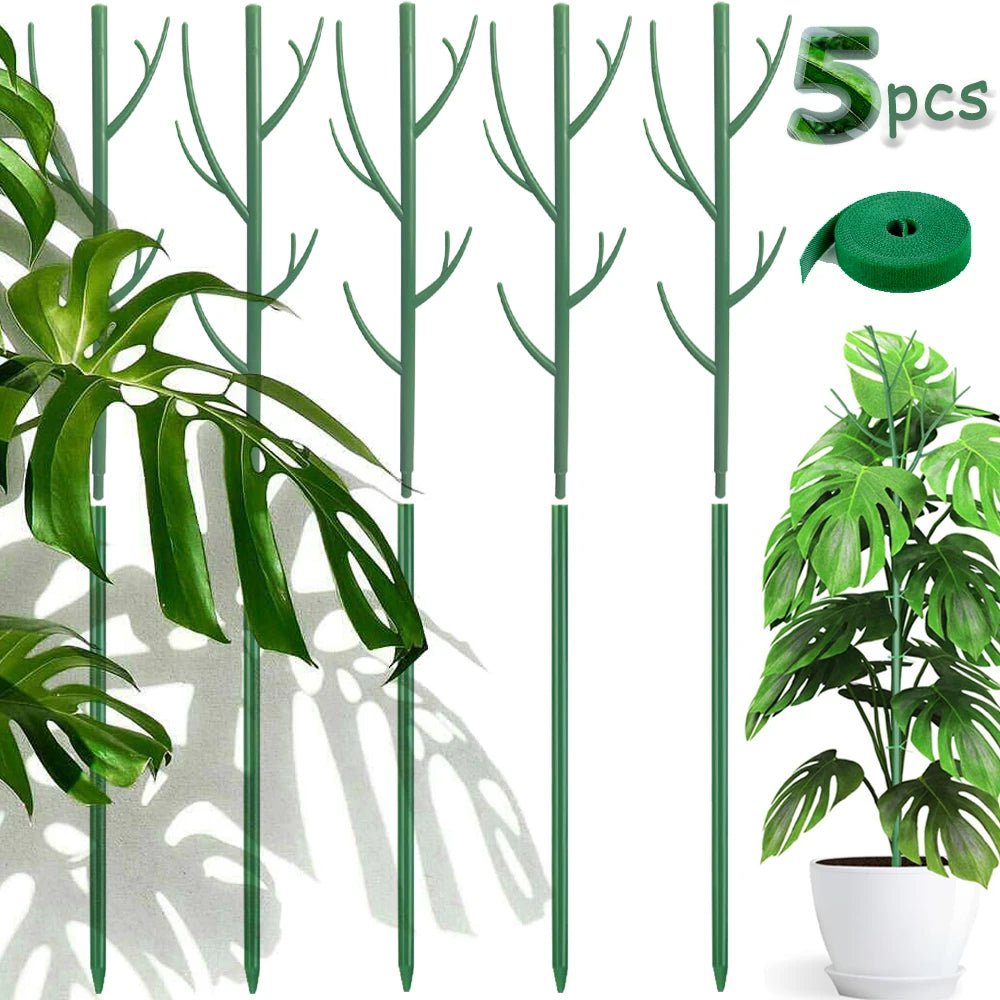 Pflanzenstützpfähle 70cm - Natürliche Kletterhilfe für Zimmerpflanzen