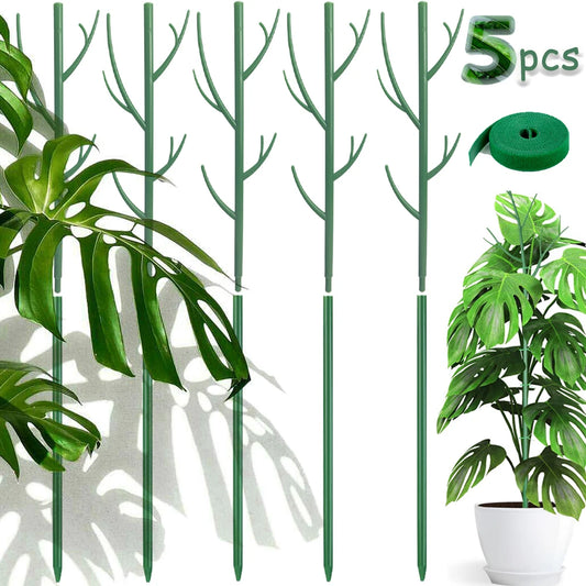 Pflanzenstützpfähle 70cm - Natürliche Kletterhilfe für Zimmerpflanzen