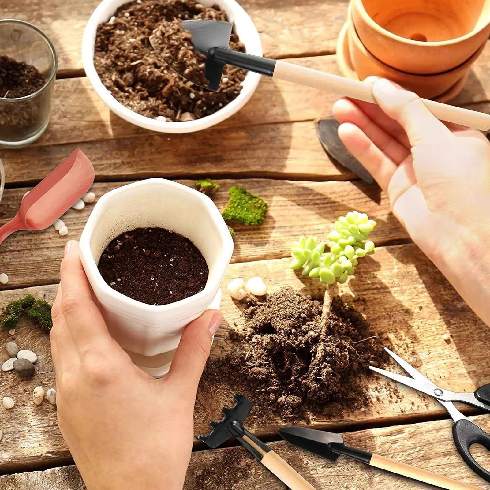 Mini Garten Pflanzwerkzeug-Set