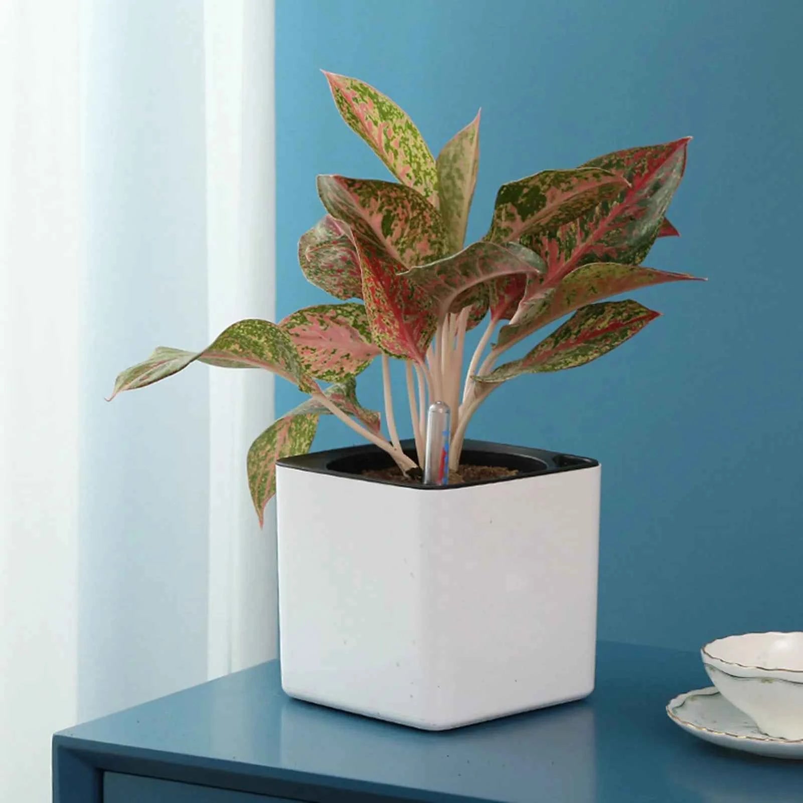 Moderner, selbstbewässernder Blumentopf mit Wasserstandsanzeige
