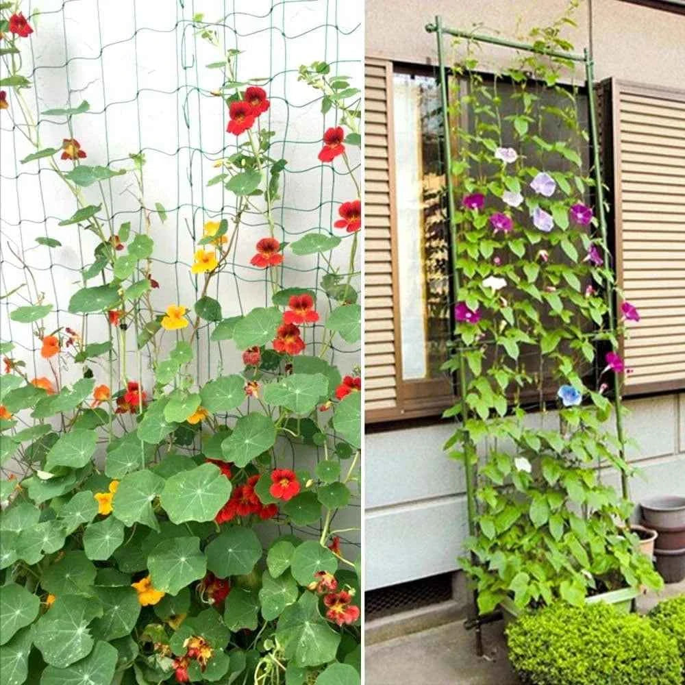 10 m Kletternetz für Gartenpflanzen