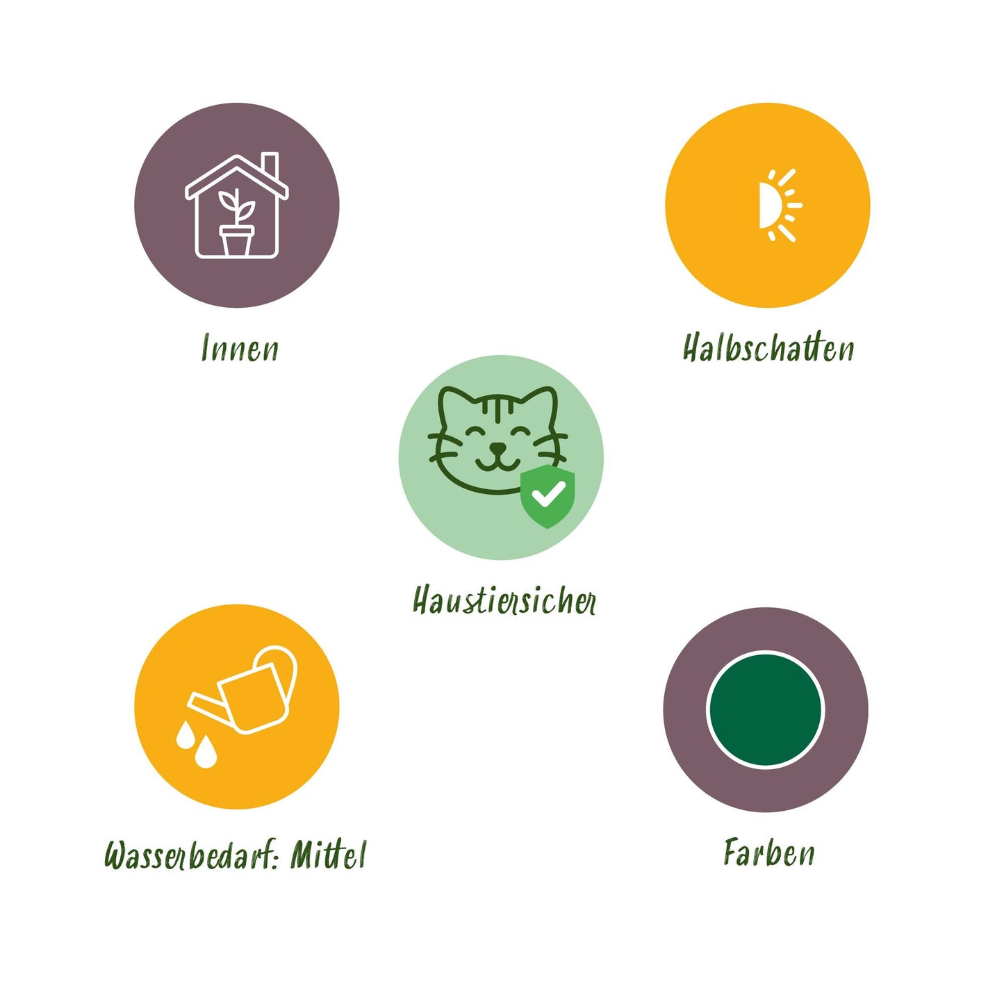 Haustierfreundliche Zimmerpflanzen Mix Premium - 4 Pflanzen Set - Topf 12cm