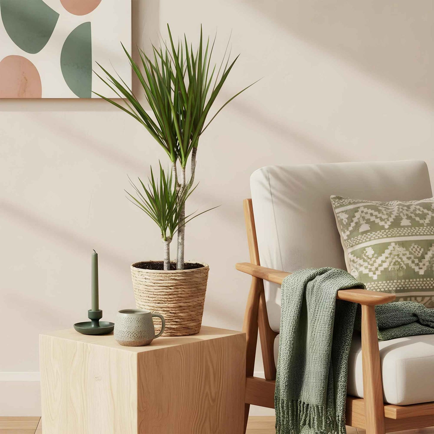 Green boutiQ - Zimmerpflanzen - Dracaena Marginata - Drachenblutbaum - Wenig Pflege - Grün - 2 Pflanzen - Topf 17cm - Höhe 70-80cm